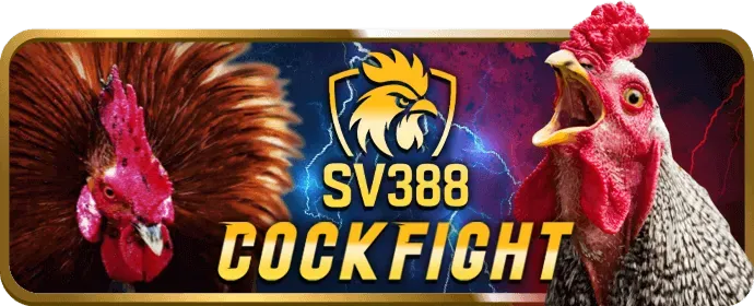 Tiền thưởng chào mừng 7club chính thức